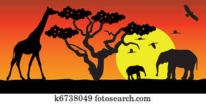 giraffe and elephants in africa giraffe and elephants in africa
