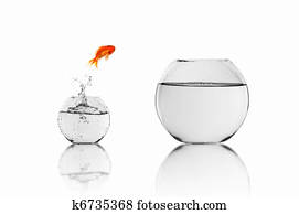gold fish in a fishbowl