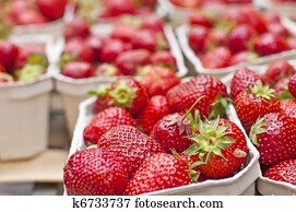 strawberry strawberry