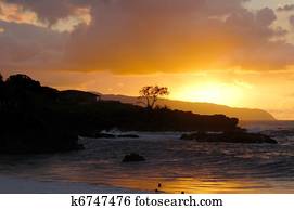 شاطئ الغروب هونولولو هاواي ألبوم الصور K6747473 Fotosearch