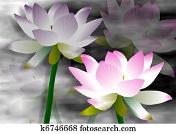 ロータス 花 イラスト K Fotosearch