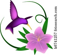 kolibri, und, lily,, freigestellt kolibri, und, lily,, freigestellt