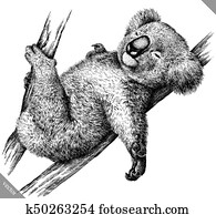 preto branco, gravar, isolado, koala, vetorial, ilustração