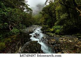 tropical creek tropical creek