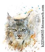 Watercolor Image Of Lynx Watercolor Image Of Lynx