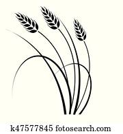 Wheat in the wind Wheat in the wind