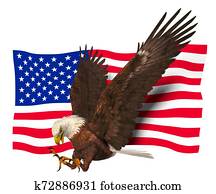 Bald Eagle American Symbol Bald Eagle American Symbol