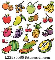 Fruits Fruits