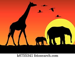 giraffe and elephants in africa giraffe and elephants in africa