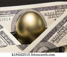 Nest Egg