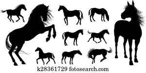 pferd, silhouetten pferd, silhouetten