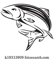 Symbol salmon Symbol salmon