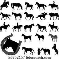 סוסים, צלליות, אוסף