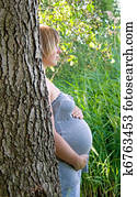 Pregnancy Pregnancy