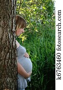 Pregnancy Pregnancy