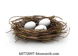 Egg and nest Egg and nest