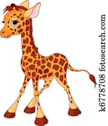 giraffe kalb giraffe kalb