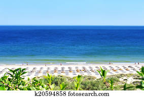 verde, praia, em, algarve, portugal