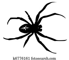 שחור, צללית, של, a, עכביש