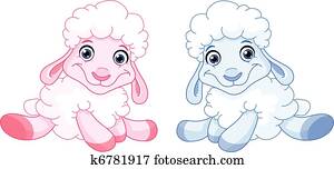 Baby sheep Baby sheep
