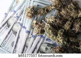 cannabis, komandējums, concept., medicīnas students, marihuāna, un, naudas summas