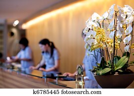 hotel reception hotel reception