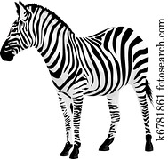 zebra., וקטור, illustration.