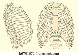 בן אנוש, בית חזה