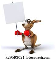 Fun kangaroo Fun kangaroo