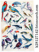 Legend Plate, vintage engraving.