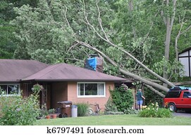 Storm damage Storm damage