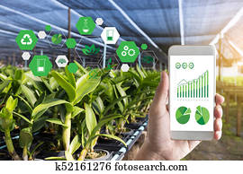 agricultura, tecnologia, conceito, homem, Agronomist, usando, um, tabuleta, internet, de, coisas, relatório