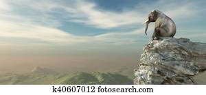 Elephant sitting on edge Elephant sitting on edge