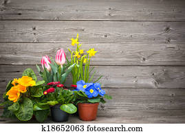 flores mola, em, potes, ligado, madeira, fundo