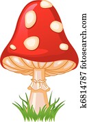 Mushroom amanita Mushroom amanita