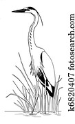 Great Blue Heron in reeds Great Blue Heron in reeds