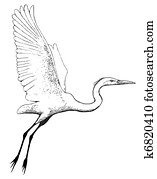 Great Egret flying Great Egret flying