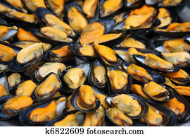 Mussels