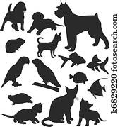 Pets Pets