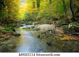 rio, em, floresta outono