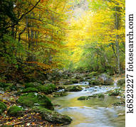 River in autumn forest River in autumn forest