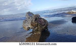 Volcanic rock on beach