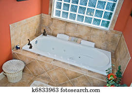 Bathroom Tub Area
