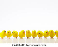 Easter Chicks In A Row