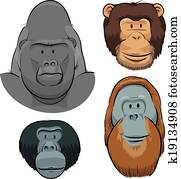 Great Ape Faces Great Ape Faces