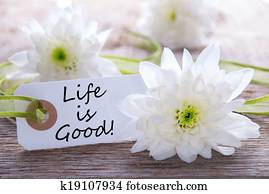 Label with Life is Good