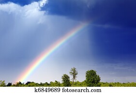 Rainbow Rainbow
