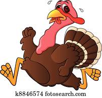 Turkey Running Turkey Running