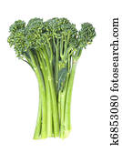 Baby Broccoli Baby Broccoli