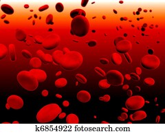 Erythrocytes